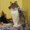 Отзыв от Наиля Горячева